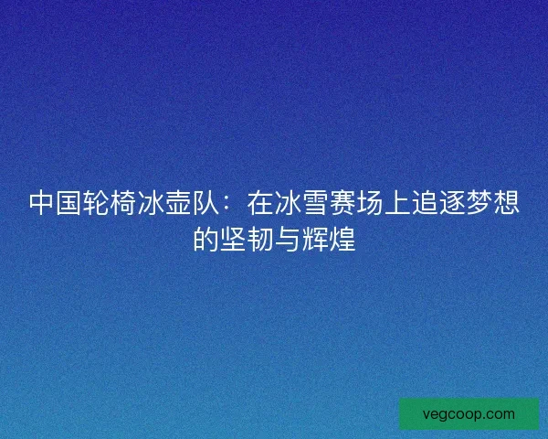 中国轮椅冰壶队：在冰雪赛场上追逐梦想的坚韧与辉煌