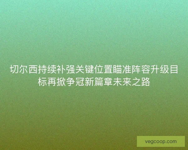 切尔西持续补强关键位置瞄准阵容升级目标再掀争冠新篇章未来之路